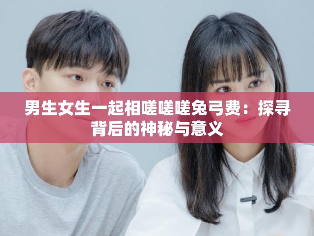 男生女生一起相嗟嗟嗟兔弓费：探寻背后的神秘与意义