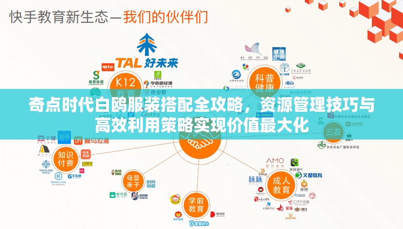 奇点时代白鸥服装搭配全攻略，资源管理技巧与高效利用策略实现价值最大化