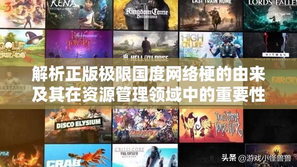 解析正版极限国度网络梗的由来及其在资源管理领域中的重要性