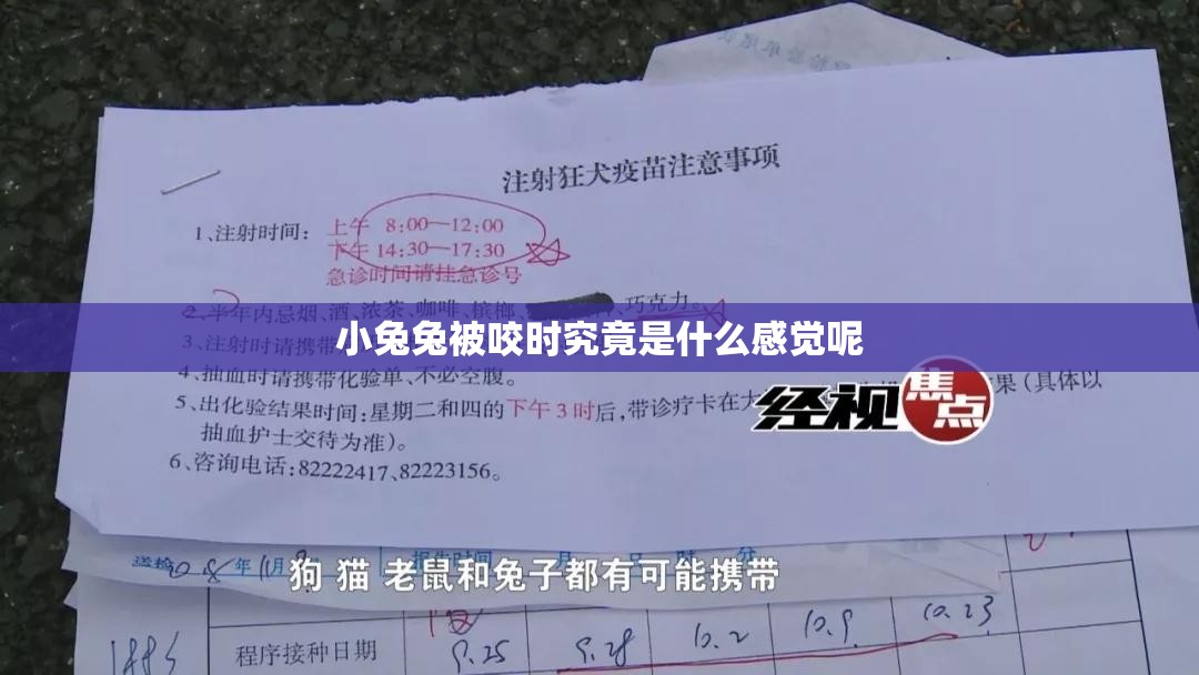 小兔兔被咬时究竟是什么感觉呢