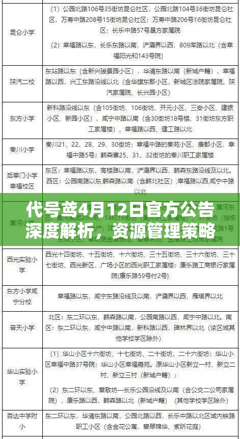 代号鸢4月12日官方公告深度解析，资源管理策略的关键性与实施要点