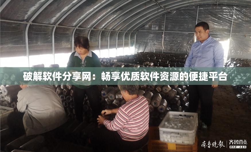 破解软件分享网：畅享优质软件资源的便捷平台