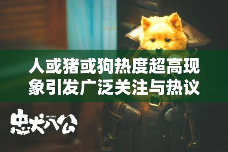 人或猪或狗热度超高现象引发广泛关注与热议