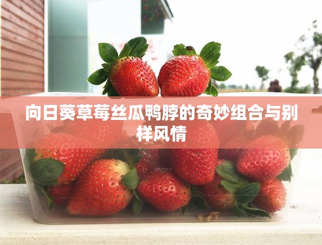 向日葵草莓丝瓜鸭脖的奇妙组合与别样风情