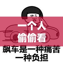 一个人偷偷看 B 站 16B 站：这背后究竟有着怎样的故事