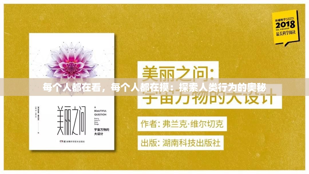 每个人都在看，每个人都在摸：探索人类行为的奥秘