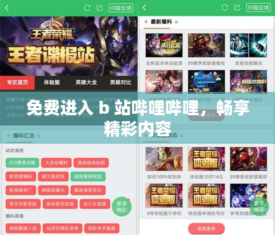 免费进入 b 站哔哩哔哩，畅享精彩内容