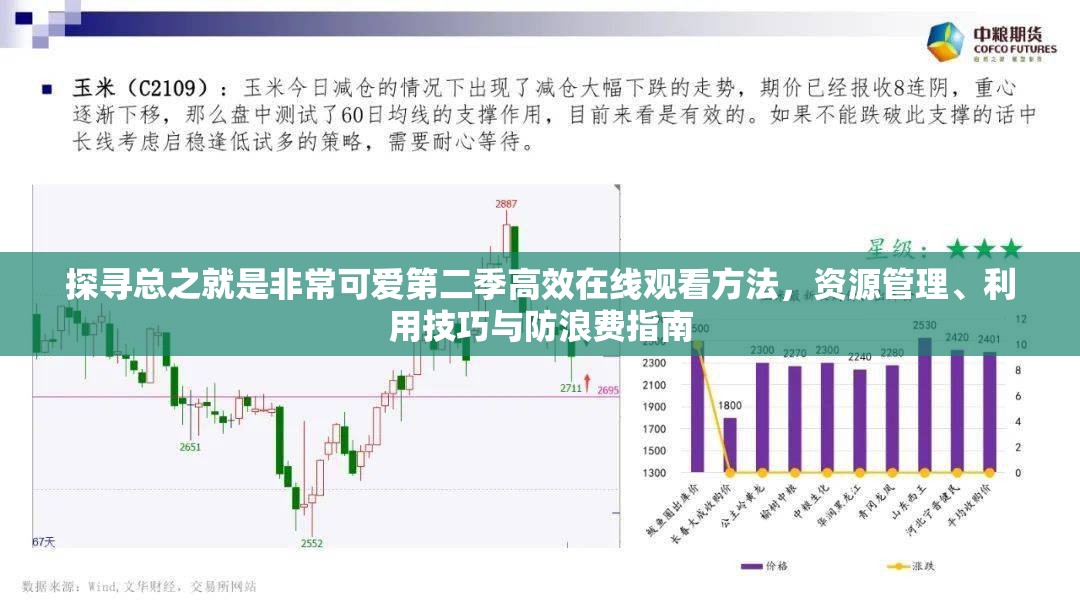 探寻总之就是非常可爱第二季高效在线观看方法，资源管理、利用技巧与防浪费指南