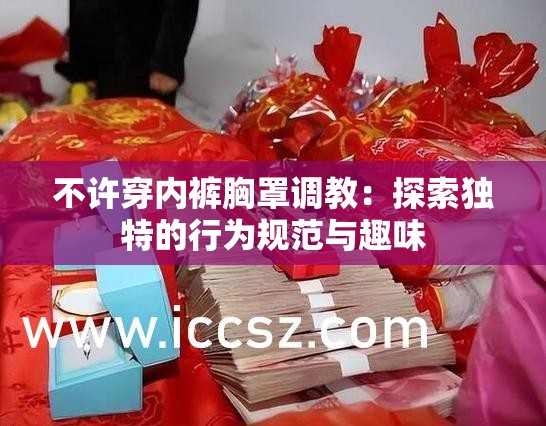 不许穿内裤胸罩调教：探索独特的行为规范与趣味
