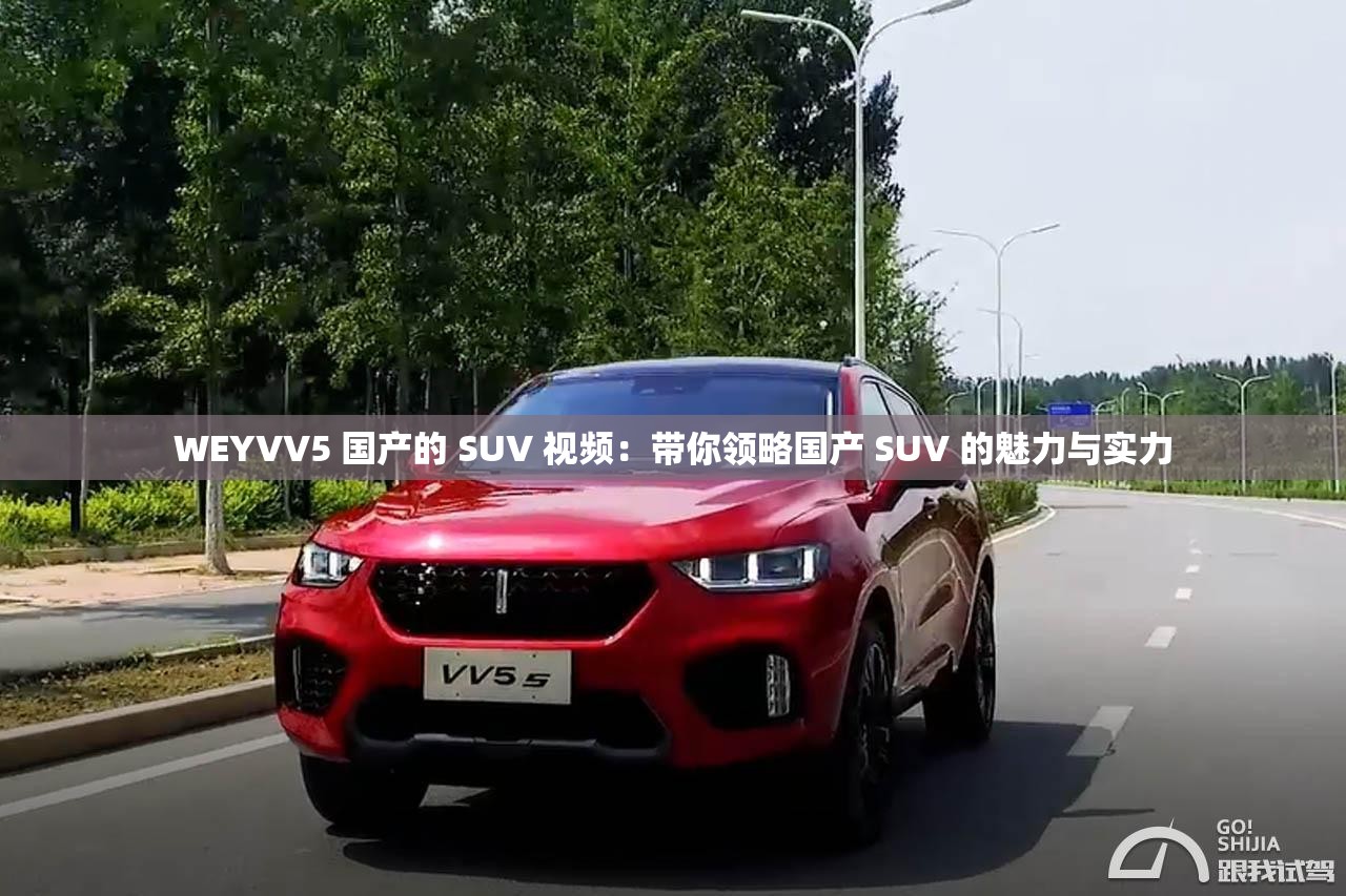 WEYVV5 国产的 SUV 视频：带你领略国产 SUV 的魅力与实力