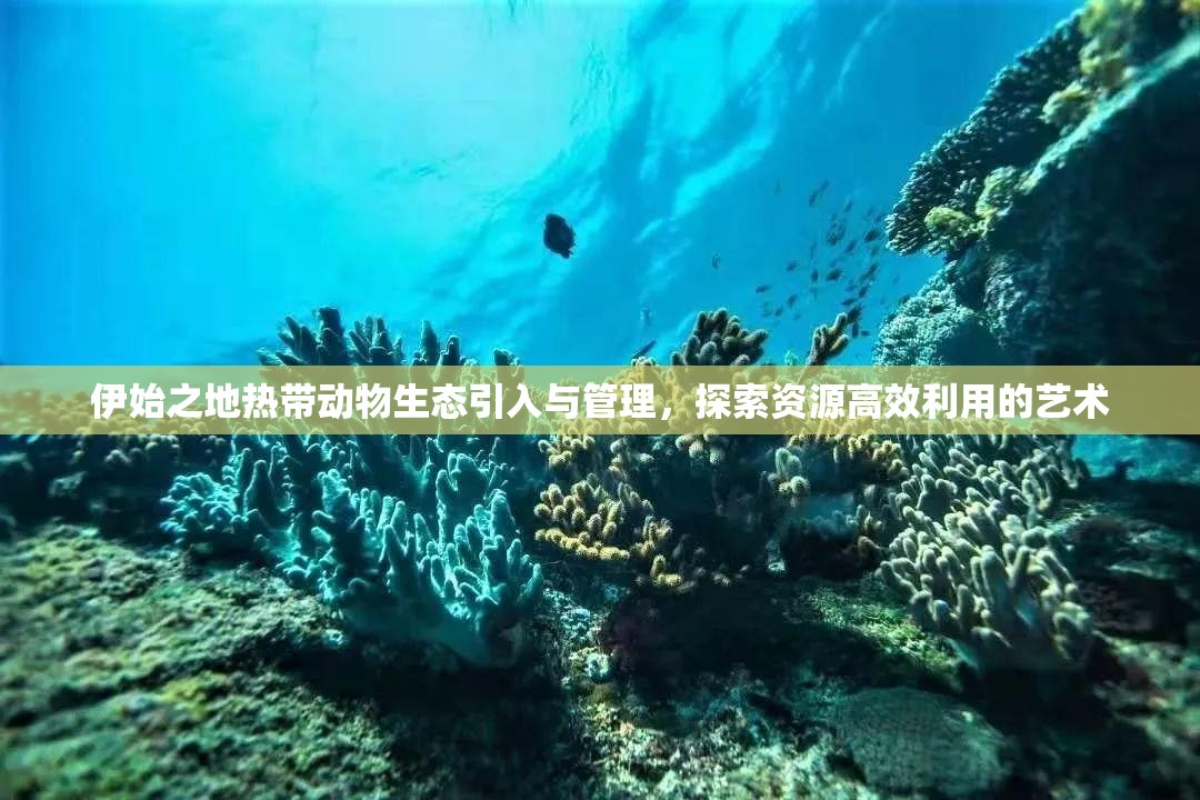 伊始之地热带动物生态引入与管理，探索资源高效利用的艺术