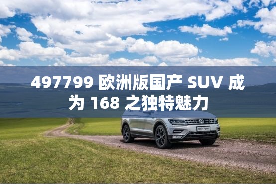 497799 欧洲版国产 SUV 成为 168 之独特魅力