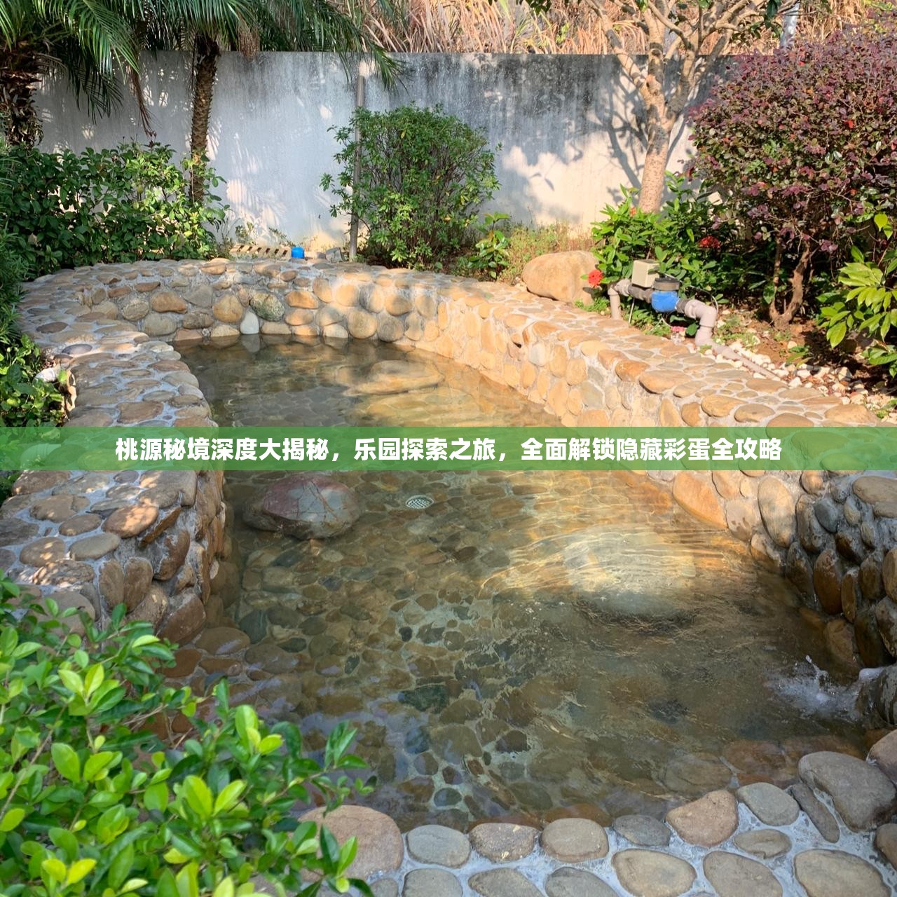 桃源秘境深度大揭秘，乐园探索之旅，全面解锁隐藏彩蛋全攻略