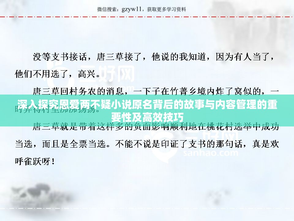 深入探究恩爱两不疑小说原名背后的故事与内容管理的重要性及高效技巧