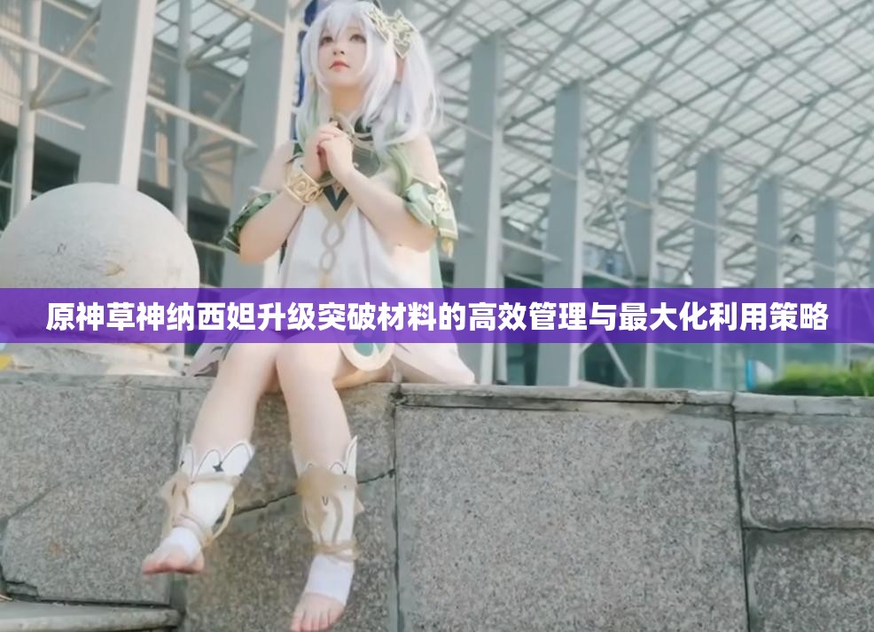 原神草神纳西妲升级突破材料的高效管理与最大化利用策略