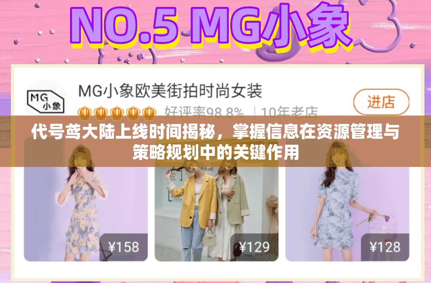 代号鸢大陆上线时间揭秘，掌握信息在资源管理与策略规划中的关键作用