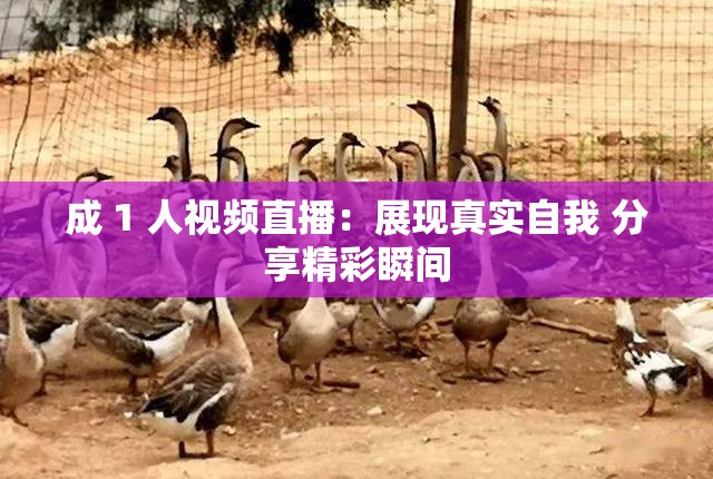 成 1 人视频直播：展现真实自我 分享精彩瞬间