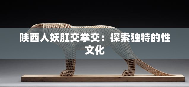 陕西人妖肛交拳交：探索独特的性文化