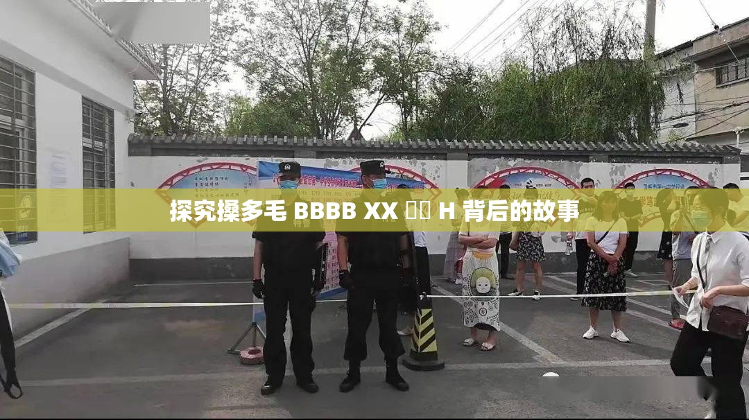 探究搡多毛 BBBB XX 乂乂 H 背后的故事
