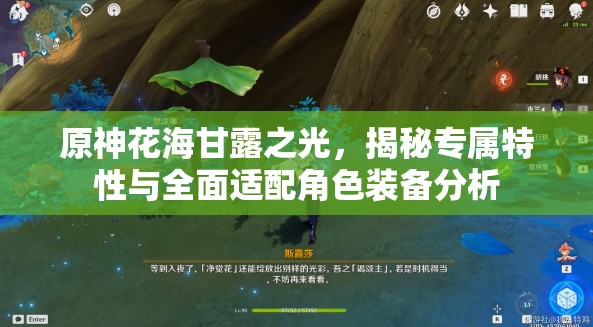 原神花海甘露之光，揭秘专属特性与全面适配角色装备分析