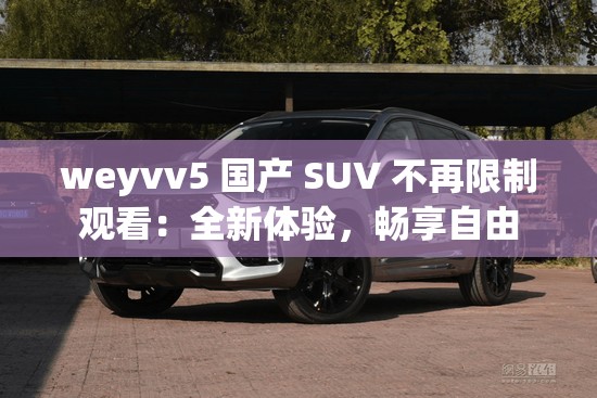 weyvv5 国产 SUV 不再限制观看：全新体验，畅享自由