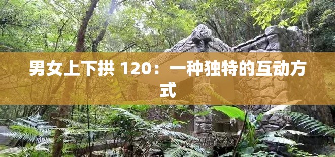 男女上下拱 120：一种独特的互动方式