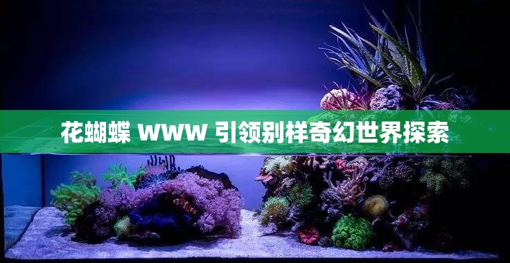 花蝴蝶 WWW 引领别样奇幻世界探索