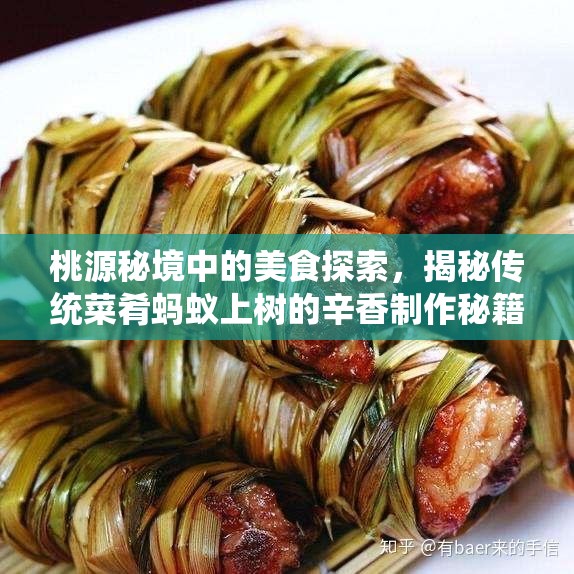 桃源秘境中的美食探索，揭秘传统菜肴蚂蚁上树的辛香制作秘籍