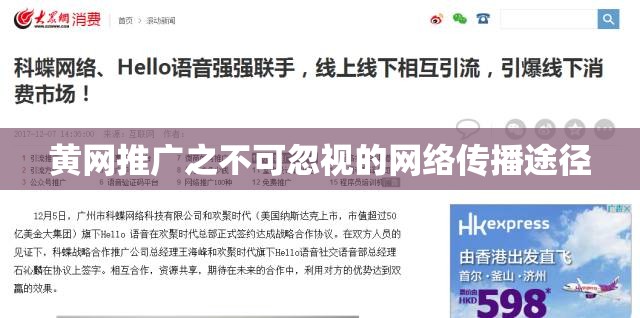 黄网推广之不可忽视的网络传播途径