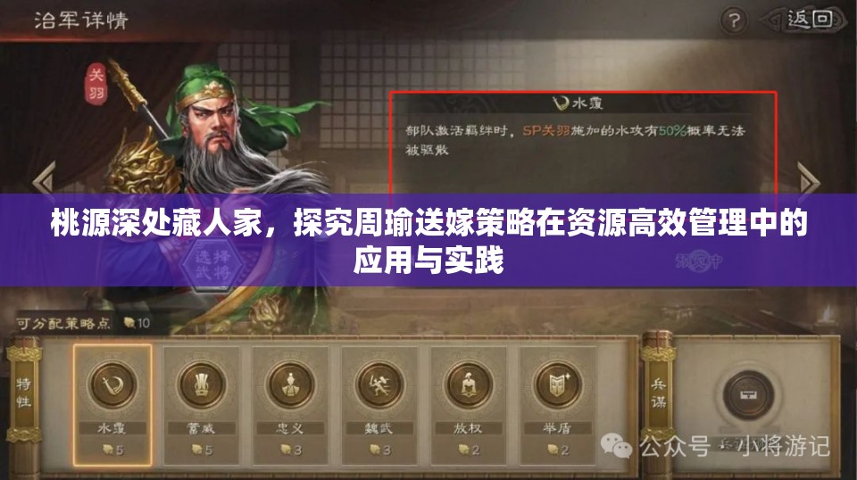 桃源深处藏人家，探究周瑜送嫁策略在资源高效管理中的应用与实践