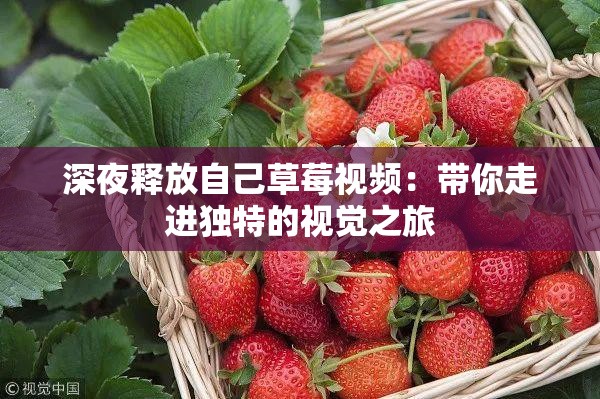 深夜释放自己草莓视频：带你走进独特的视觉之旅