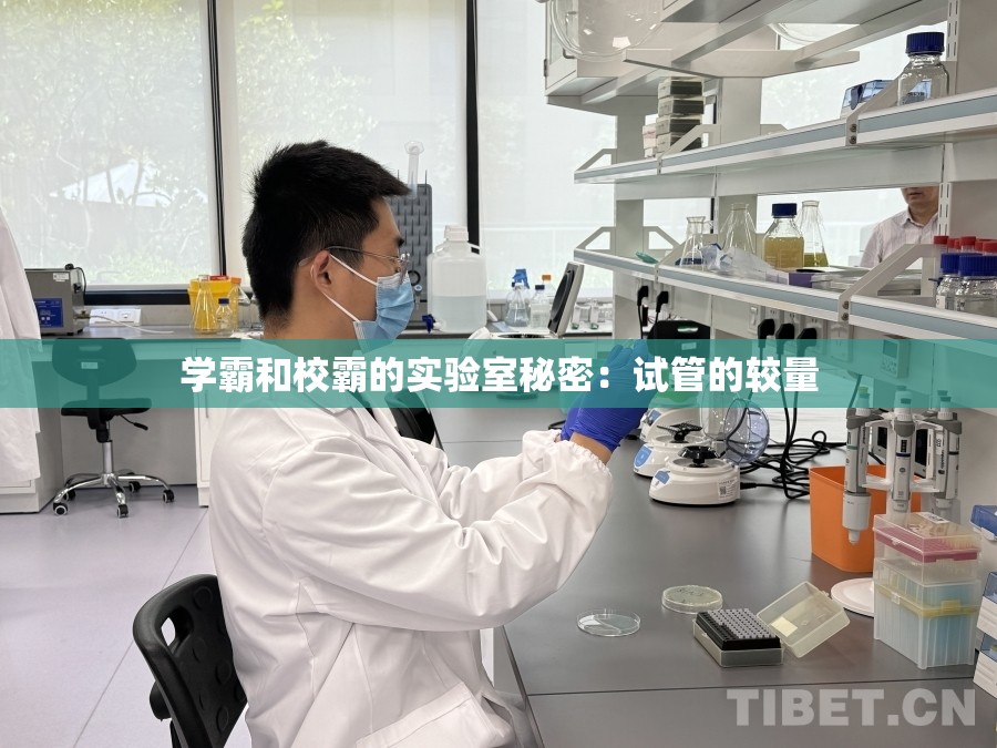 学霸和校霸的实验室秘密：试管的较量