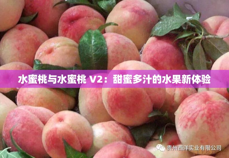 水蜜桃与水蜜桃 V2：甜蜜多汁的水果新体验