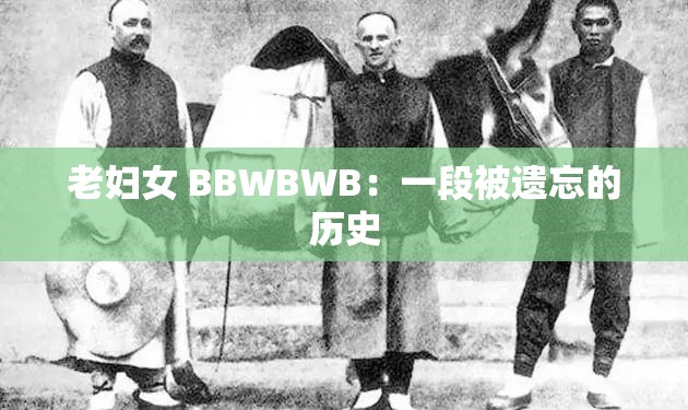 老妇女 BBWBWB：一段被遗忘的历史