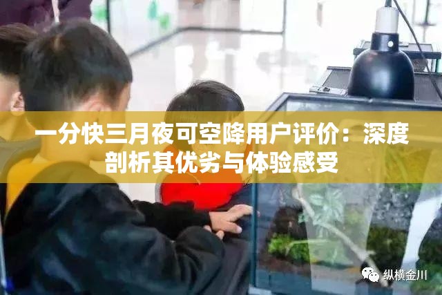 一分快三月夜可空降用户评价：深度剖析其优劣与体验感受