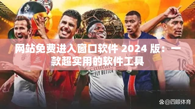 网站免费进入窗口软件 2024 版：一款超实用的软件工具