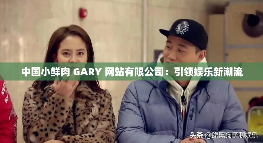 中国小鲜肉 GARY 网站有限公司：引领娱乐新潮流