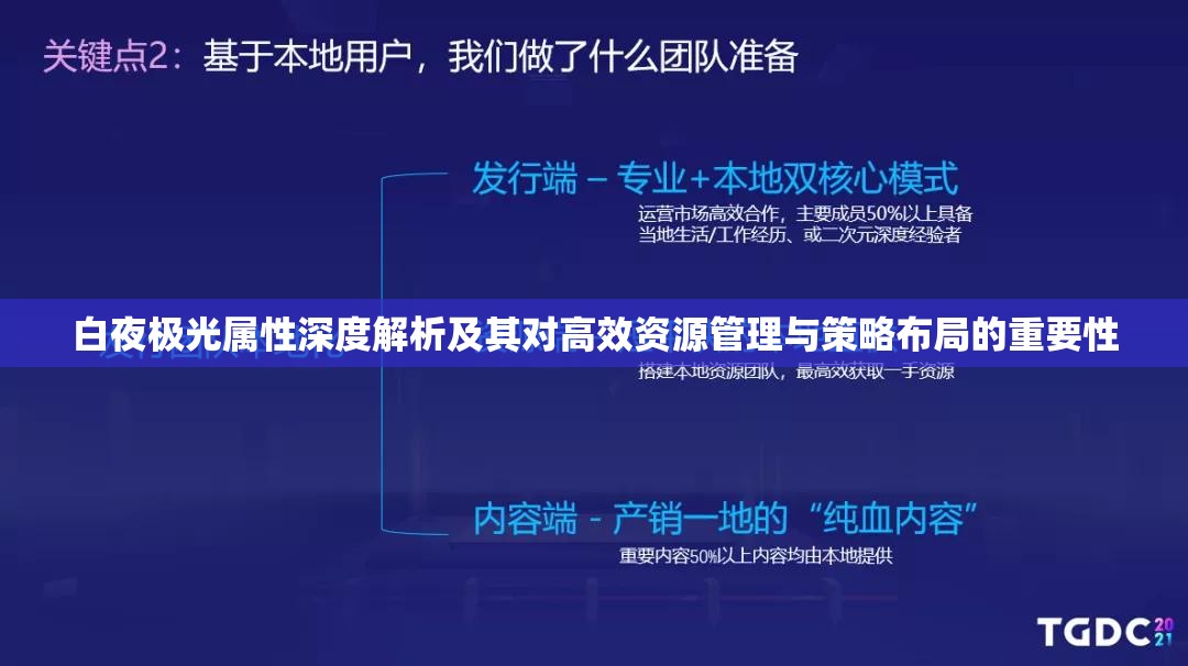 白夜极光属性深度解析及其对高效资源管理与策略布局的重要性