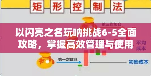 以闪亮之名玩呐挑战6-5全面攻略，掌握高效管理与使用技巧助你通关
