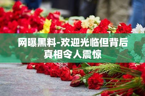 网曝黑料-欢迎光临但背后真相令人震惊