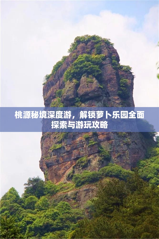 桃源秘境深度游，解锁萝卜乐园全面探索与游玩攻略