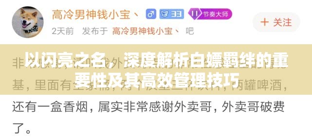 以闪亮之名，深度解析白嫖羁绊的重要性及其高效管理技巧