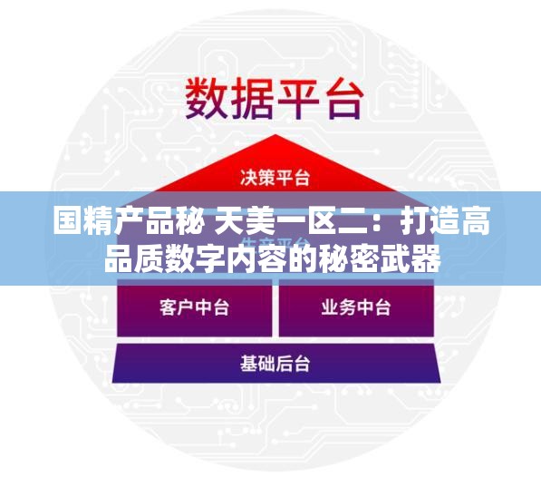 国精产品秘 天美一区二：打造高品质数字内容的秘密武器