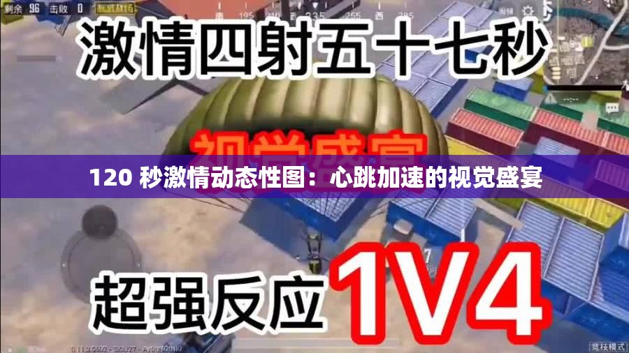 120 秒激情动态性图：心跳加速的视觉盛宴