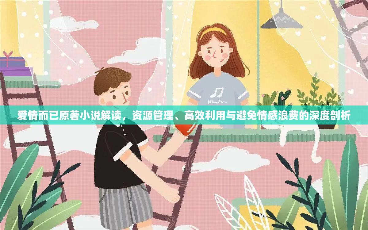 爱情而已原著小说解读，资源管理、高效利用与避免情感浪费的深度剖析