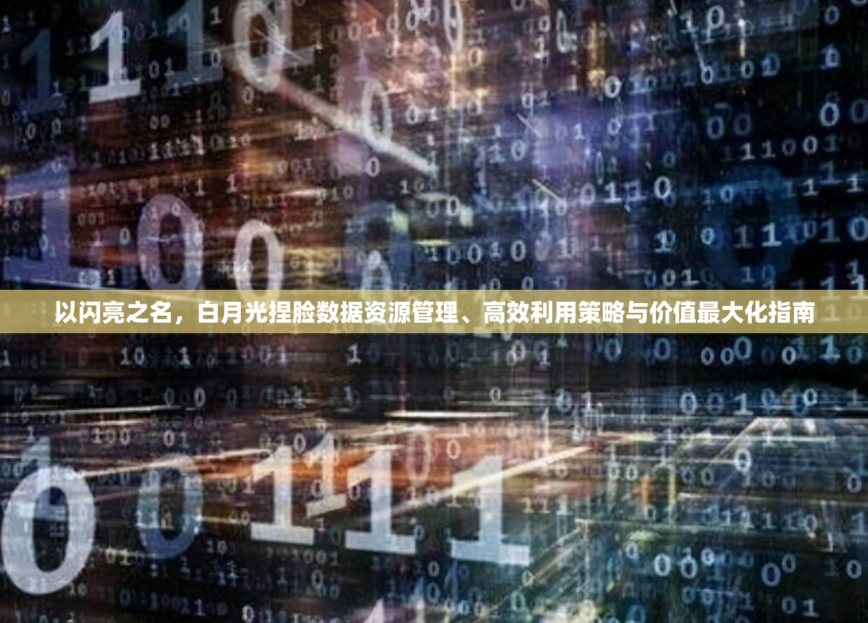 以闪亮之名，白月光捏脸数据资源管理、高效利用策略与价值最大化指南