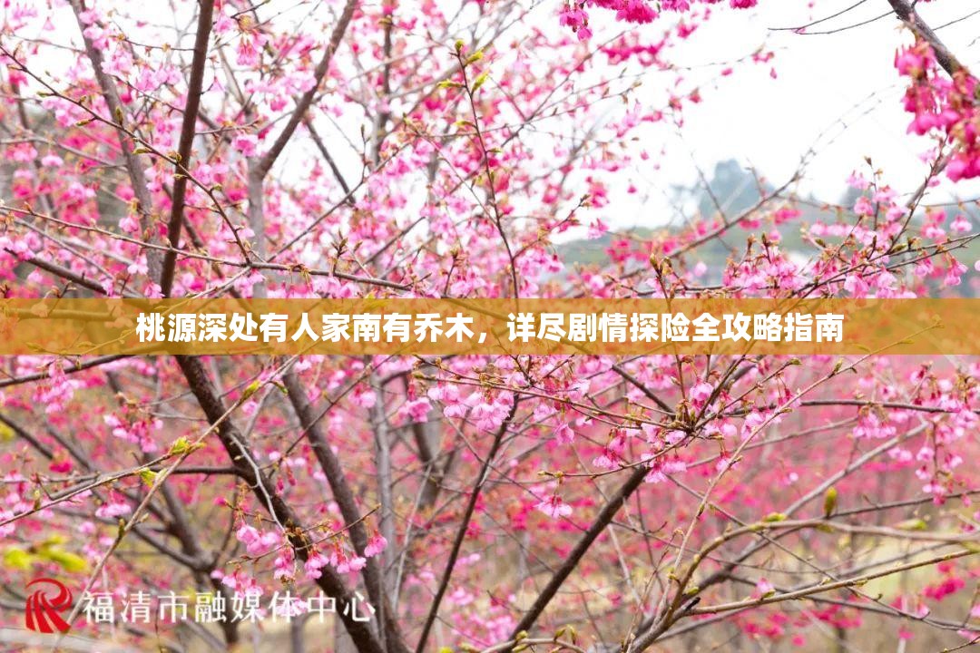 桃源深处有人家南有乔木，详尽剧情探险全攻略指南