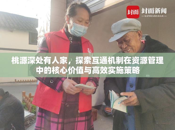 桃源深处有人家，探索互通机制在资源管理中的核心价值与高效实施策略