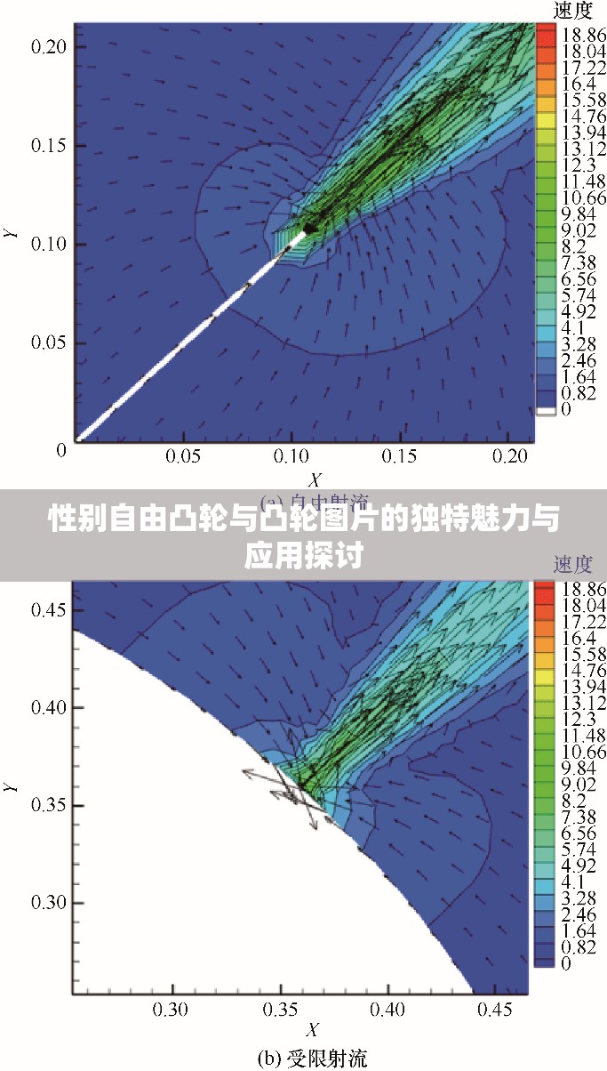 性别自由凸轮与凸轮图片的独特魅力与应用探讨