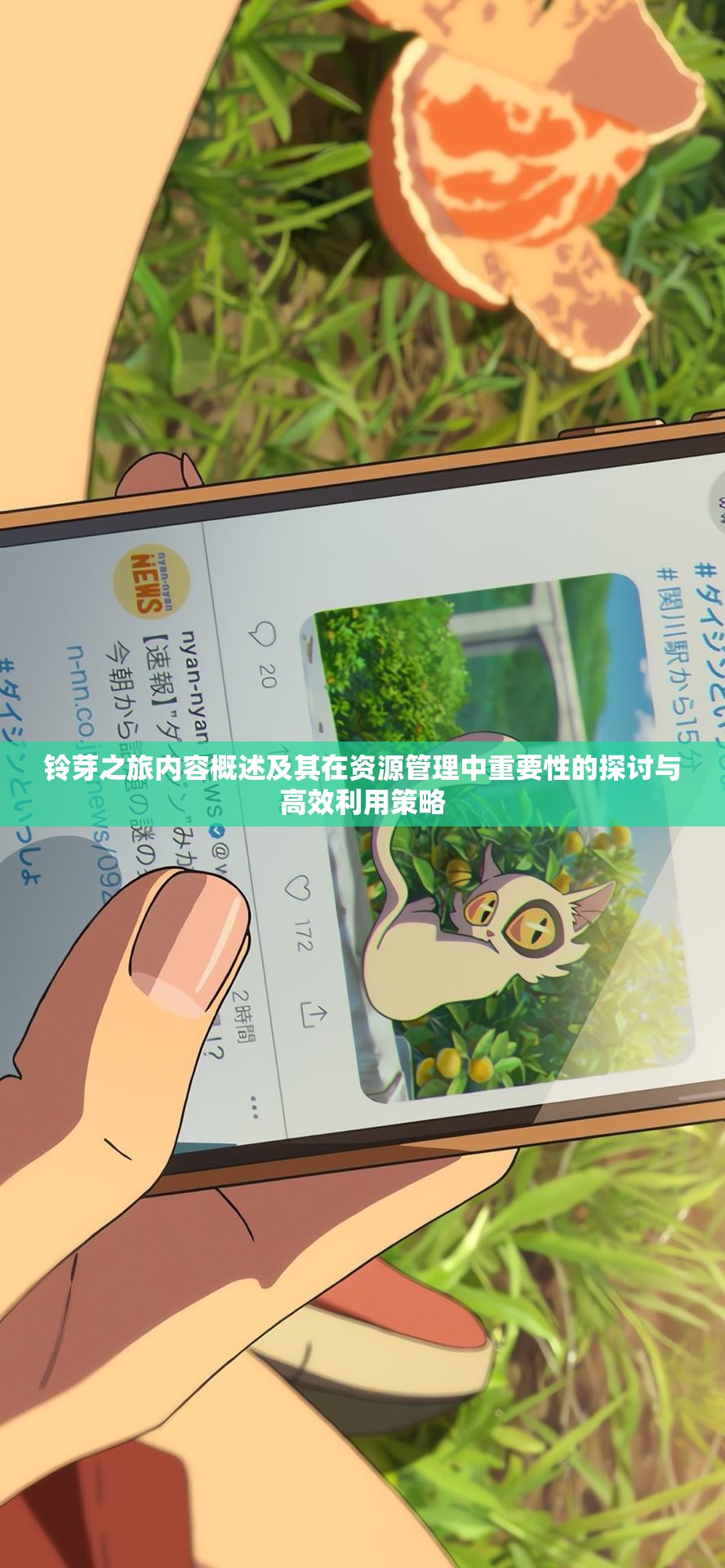铃芽之旅内容概述及其在资源管理中重要性的探讨与高效利用策略